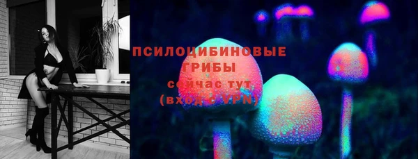 сатива Покров