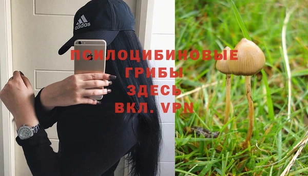 амфетамин Осташков