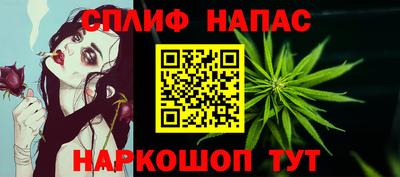 спиды Дубна