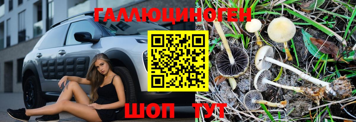 Галлюциногенные грибы Psilocybine cubensis Туймазы